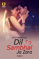 Dil Sambhal Ja Zara Season 1 Part 2