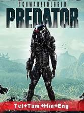 Predator